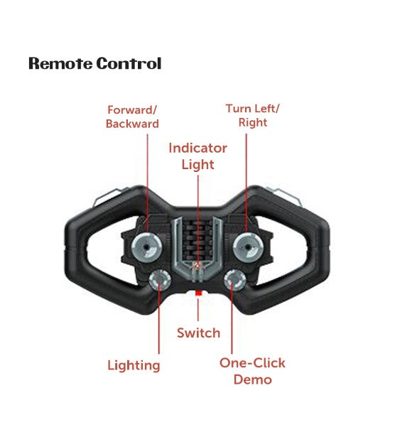 RC Stunt Car 2.4G, Double-Sided, 4WD with Lights