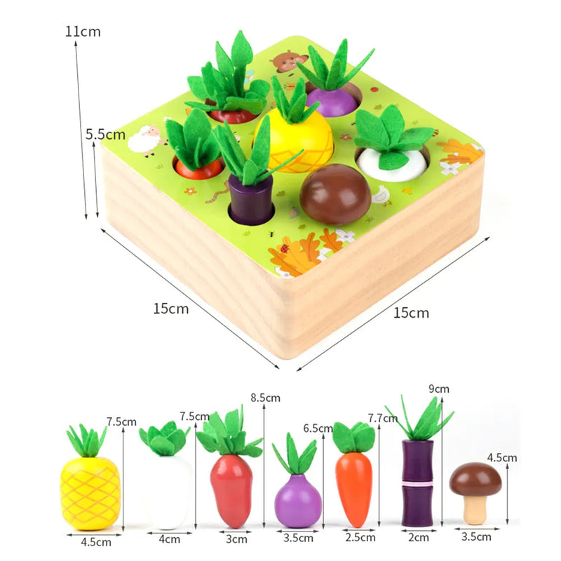 Montessori Vegetable Set