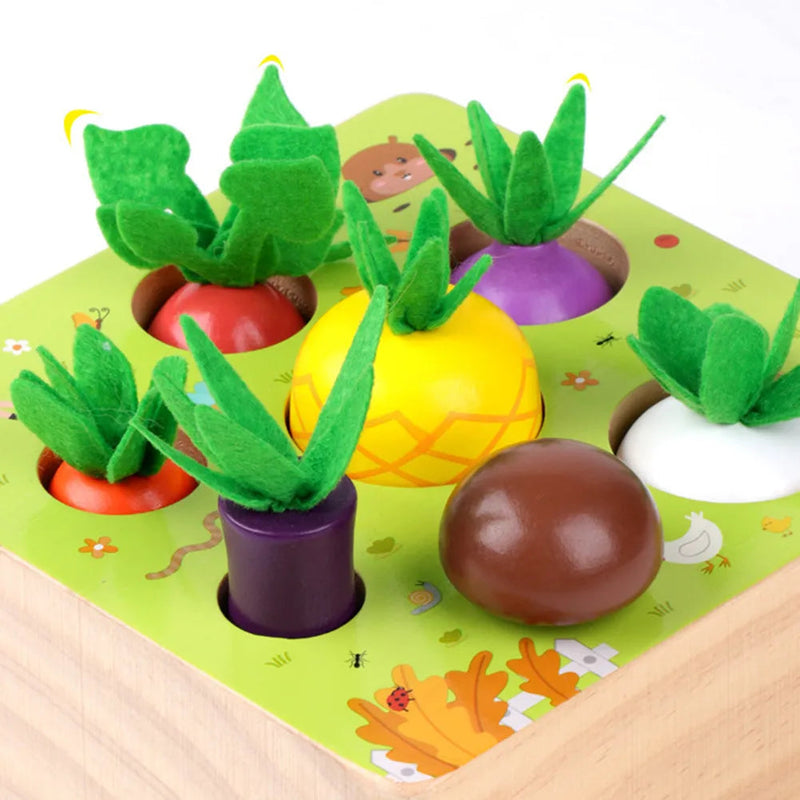 Montessori Vegetable Set